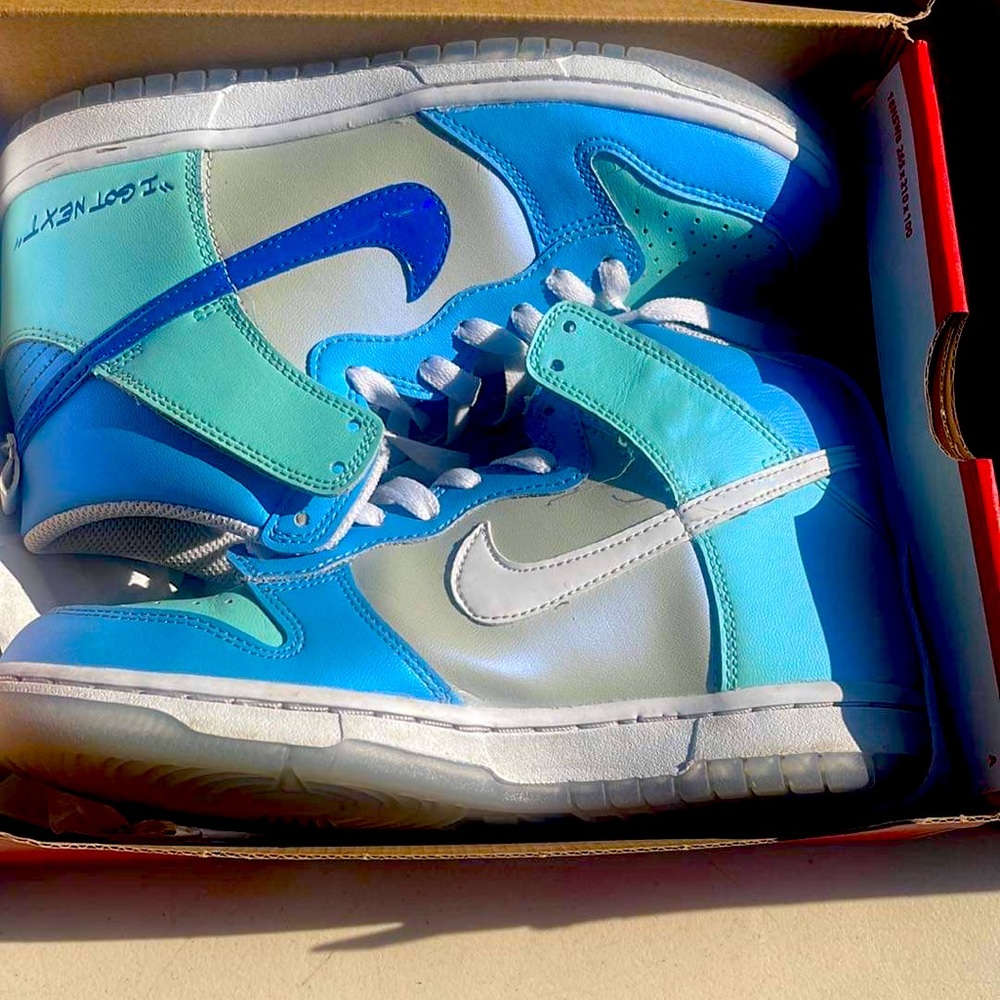 Nike Dunk High